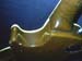 05_neck_joint
